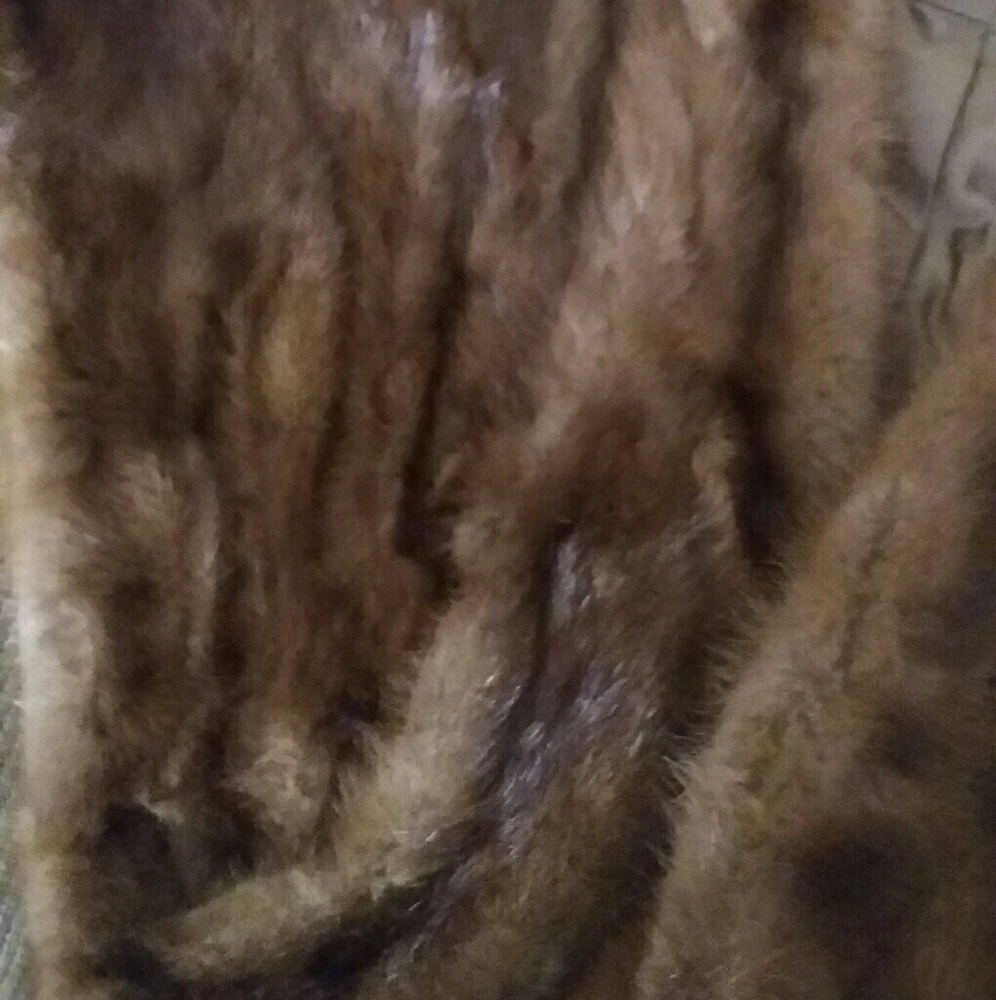Mink - Picture 2 of 6